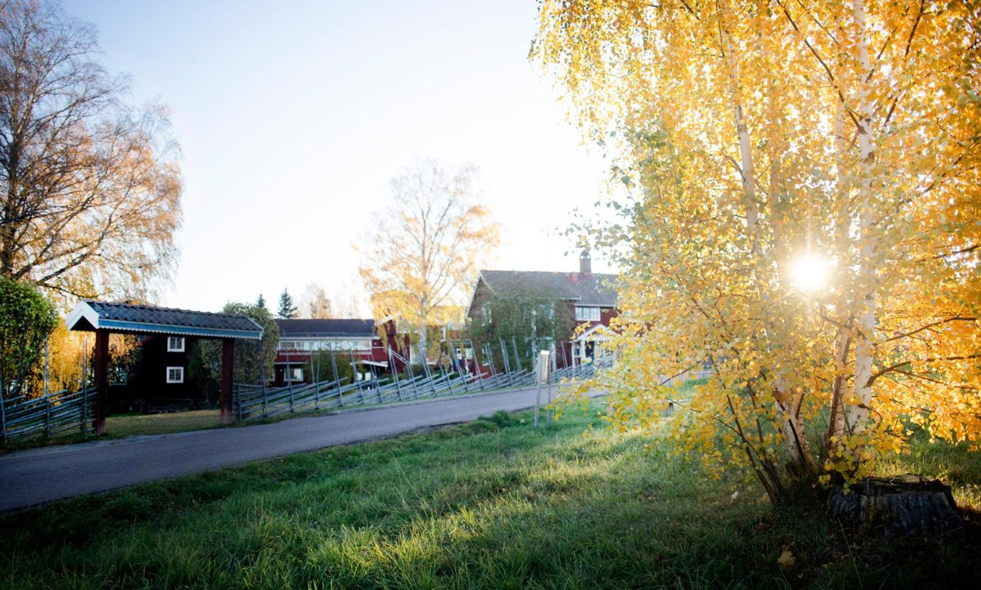 Akerblads Hotell Gaestgiveri Spa Tällberg Екстериор снимка